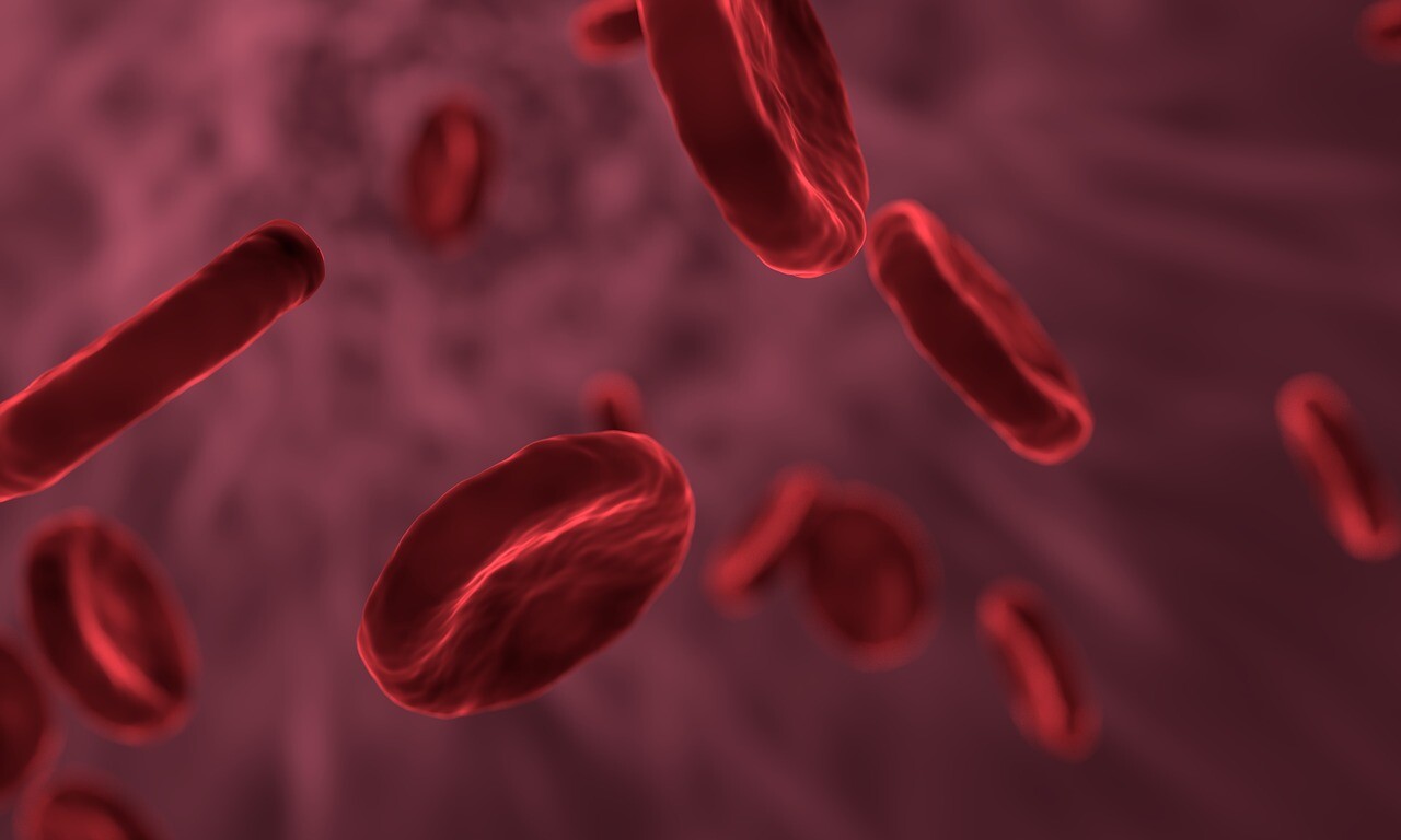 anemia cura