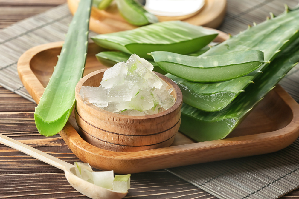 aloe vera per le scottature della pelle