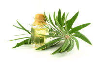 Tea Tree Oil per la pelle: usi e benefici
