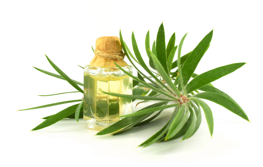 tea tree oil benefici